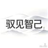 驭见智己