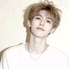 Chen.鱼