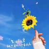 🌻山野自愈- ̗̀(๑ᵔ⌔ᵔ๑)