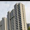萱萱的家🏠