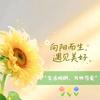 思温ડꪊꪀ໊࿐໊
