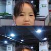 春嗳花开