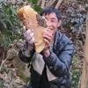 玉哥深山寻蜜。