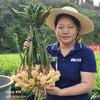 优盾小王学农