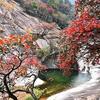 一范风顺