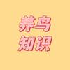齐鲁鸟客