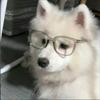 归根