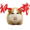 短剧之王