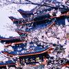 山河无恙