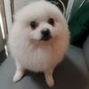 狂渡山河