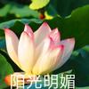 王…