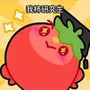 我柿研究生（27考研）