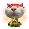 精图小六