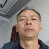 不离不弃
