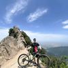 旷野张哥（备战嘉午台）