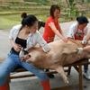 阿西是农村女屠夫🐷