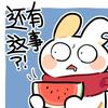 娱乐狗哥