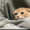 夜过后的白昼