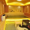 元气细胞SPA