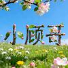 小顾哥