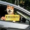 苗族大叔