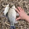 独行侠🎣