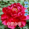 福生无量