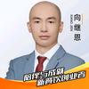 白茶清欢