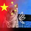 大长姐姐