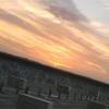 板