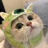 纸茶