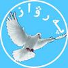 «PARWAZ»