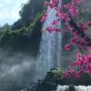 山丹