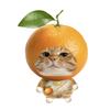 恰似呆猫.