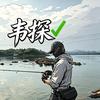 韦探路亚🎣