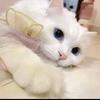 辰光