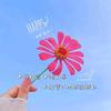 🌼໌ᮨ好运ꚸ护体꙳(关必回)
