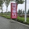 阿宝垂钓