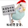 皮小皮-鹦语十级