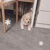 养猫人日常生活