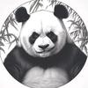 cdr课代表