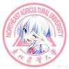 东农小叮当