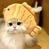 一只猫