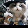 咖啡猫