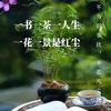 云栖鹤