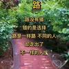 姐就是王炸
