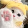ʸᵘᵀⁱᵃⁿ