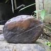 执笔叙流年