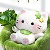 豆豆是只猫