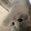 Fiona